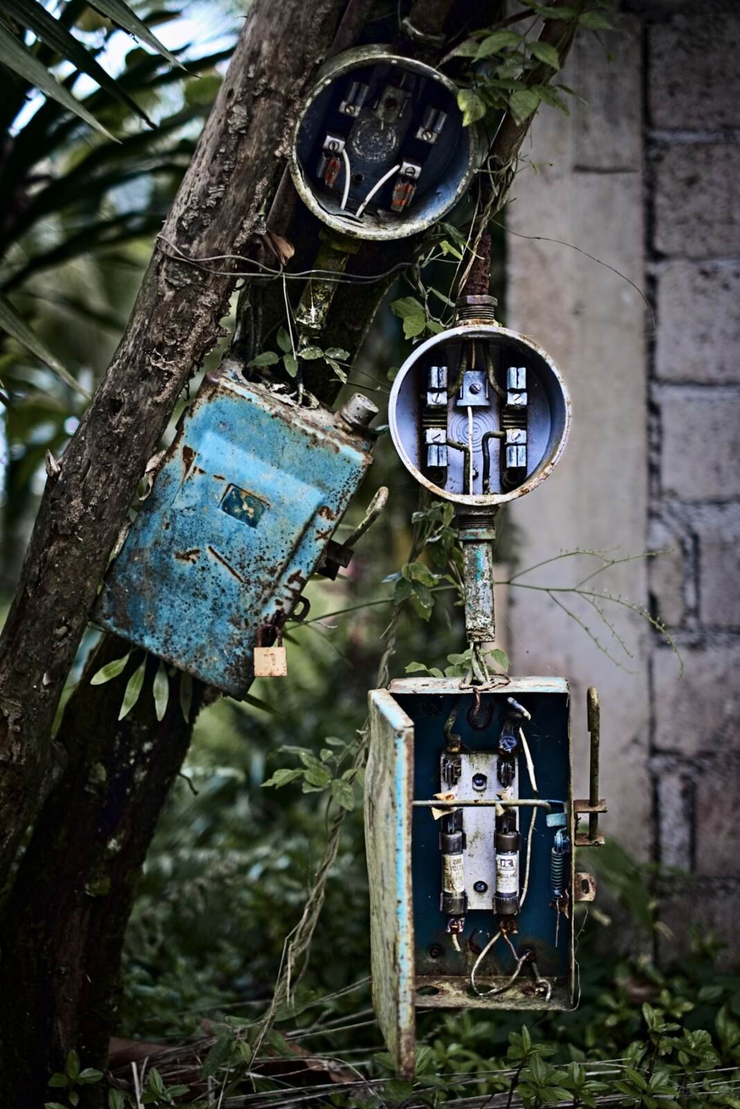 Tree sculpture made from reused light fittings